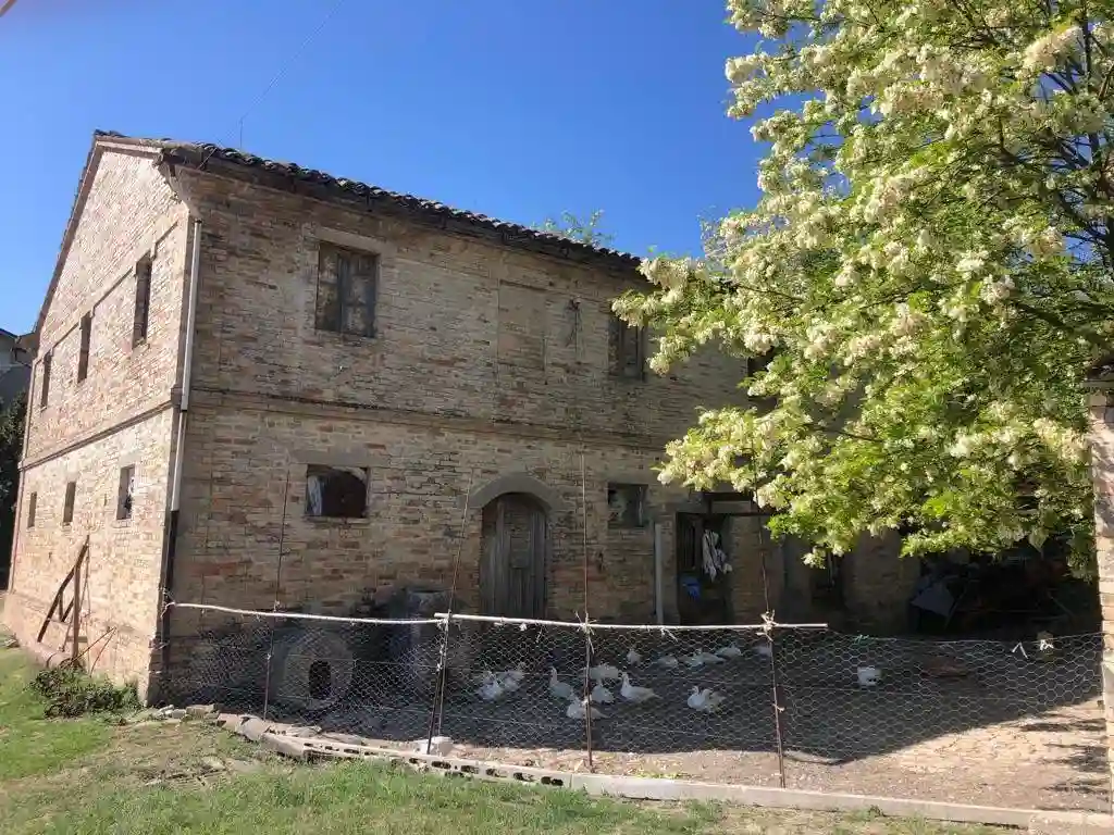 Palazzo - Edificio - foto 4