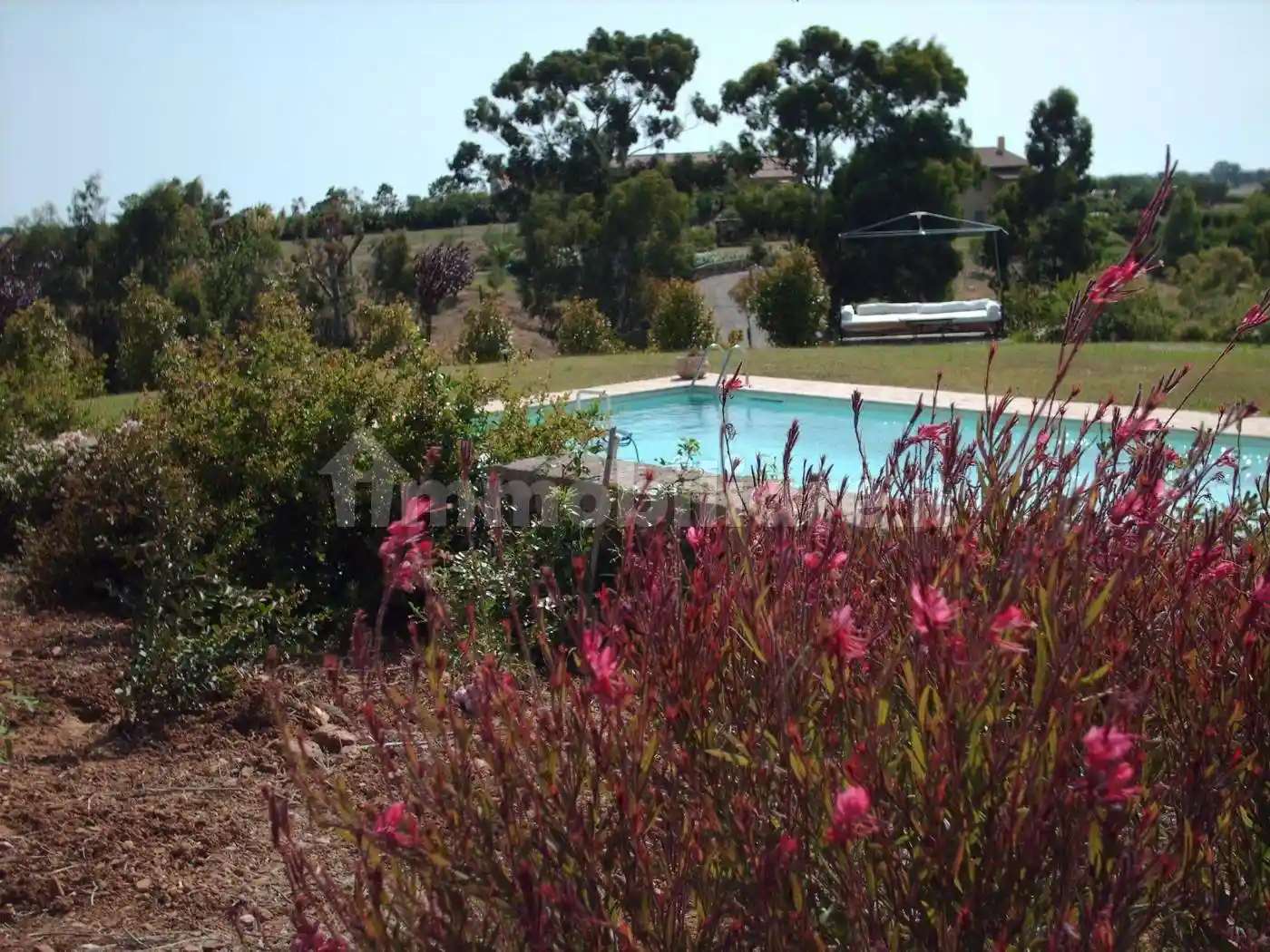 Appartamento in affitto a Montalto di Castro