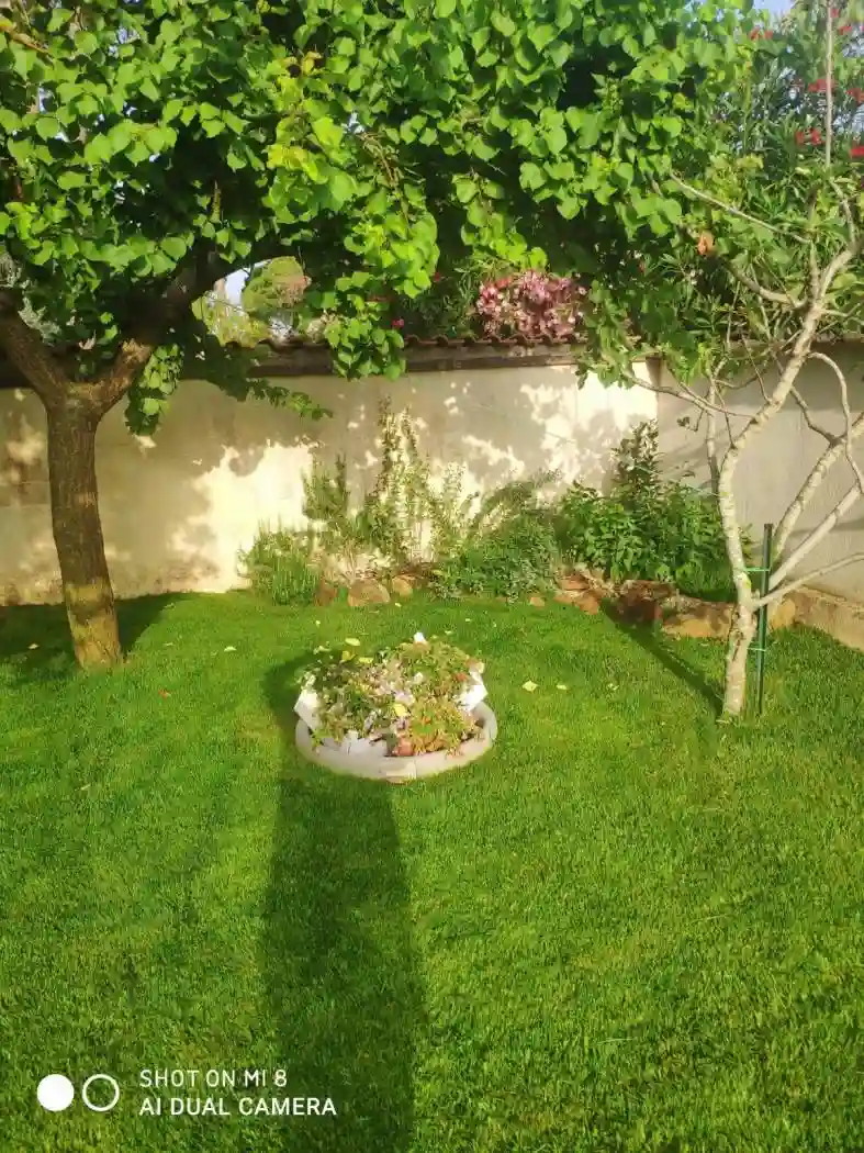 Villa unifamiliare via dei Noci 64, Lido dei Pini di Ardea - Lupetta, Ardea - foto 4