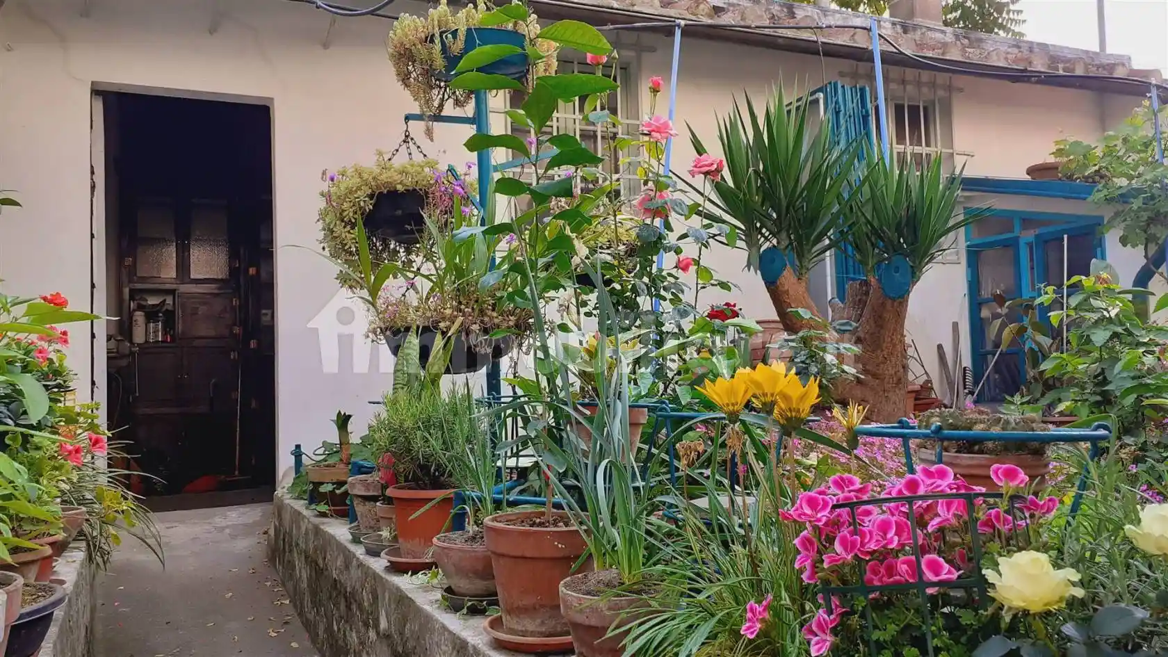 Casa indipendente in vendita a Firenze