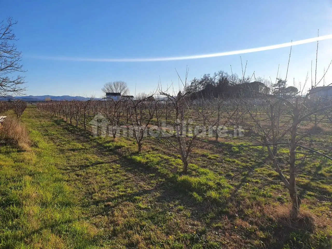 Casa indipendente in vendita a Cesena