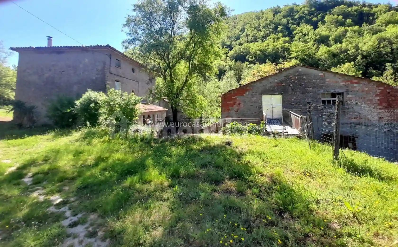 Rustico - Casale - foto 5