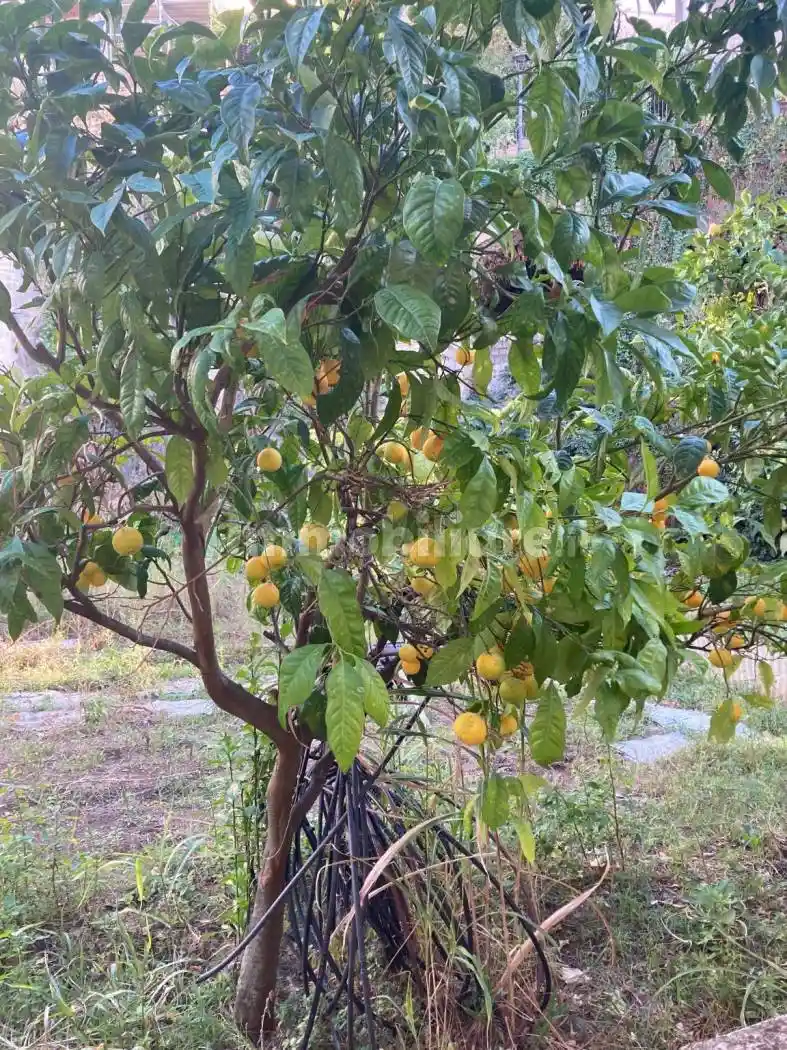 Terratetto unifamiliare via Gaetano Filangieri, Vico Equense - foto 3