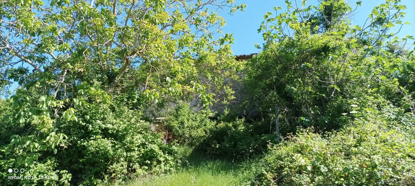 Casale Strada per Gubbio, Piccione, Perugia - foto 4