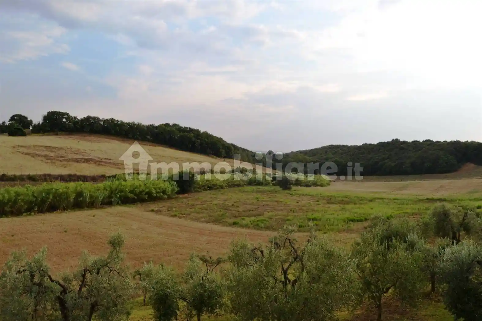 Rustico - Casale in vendita a Casale Marittimo
