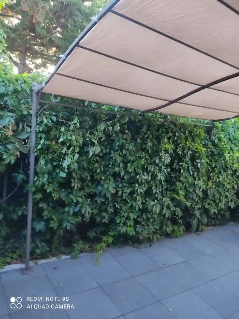 Terratetto unifamiliare 46 m², ottimo stato, Diamante - foto 2