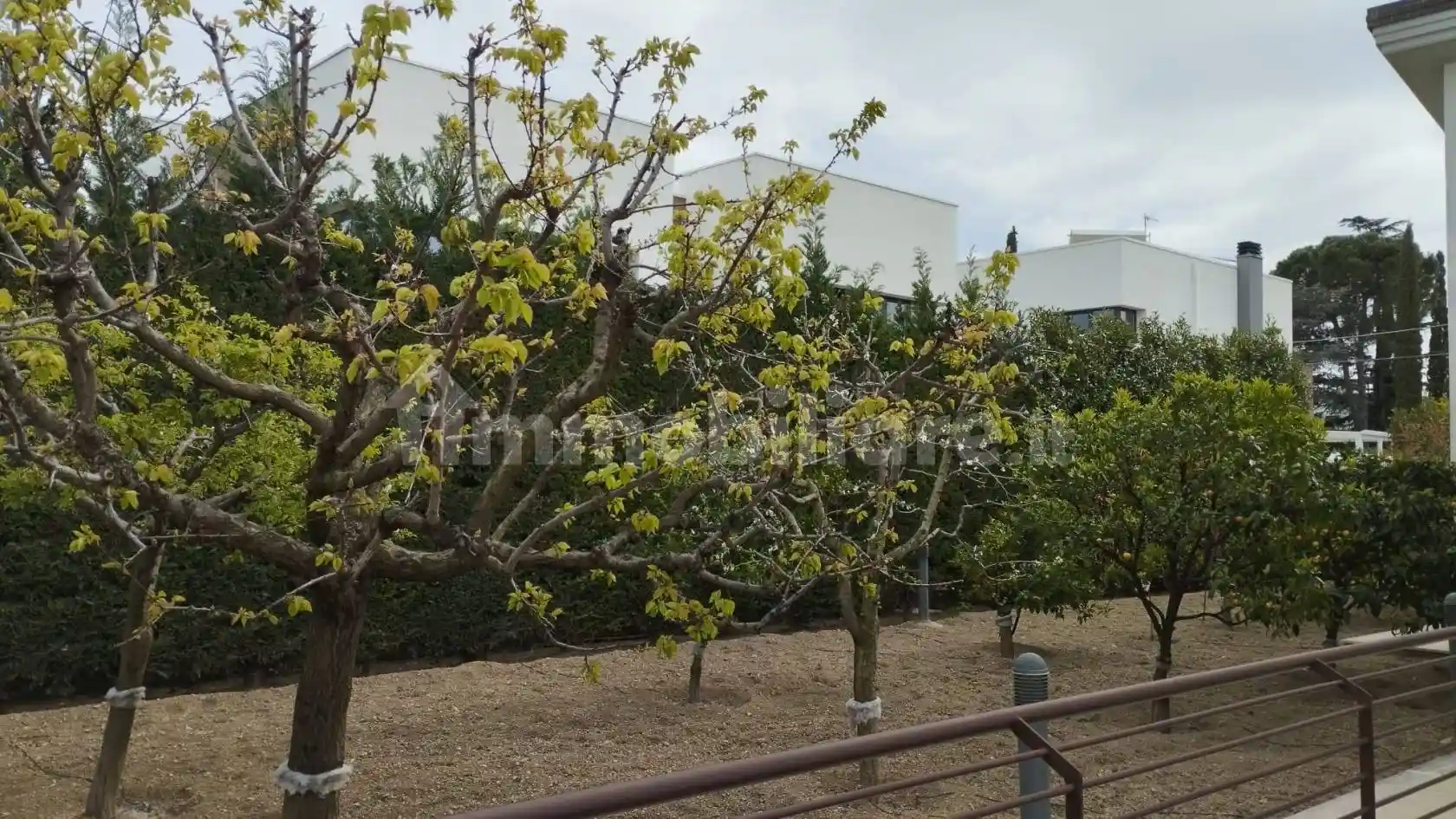 Villa in affitto a Trani