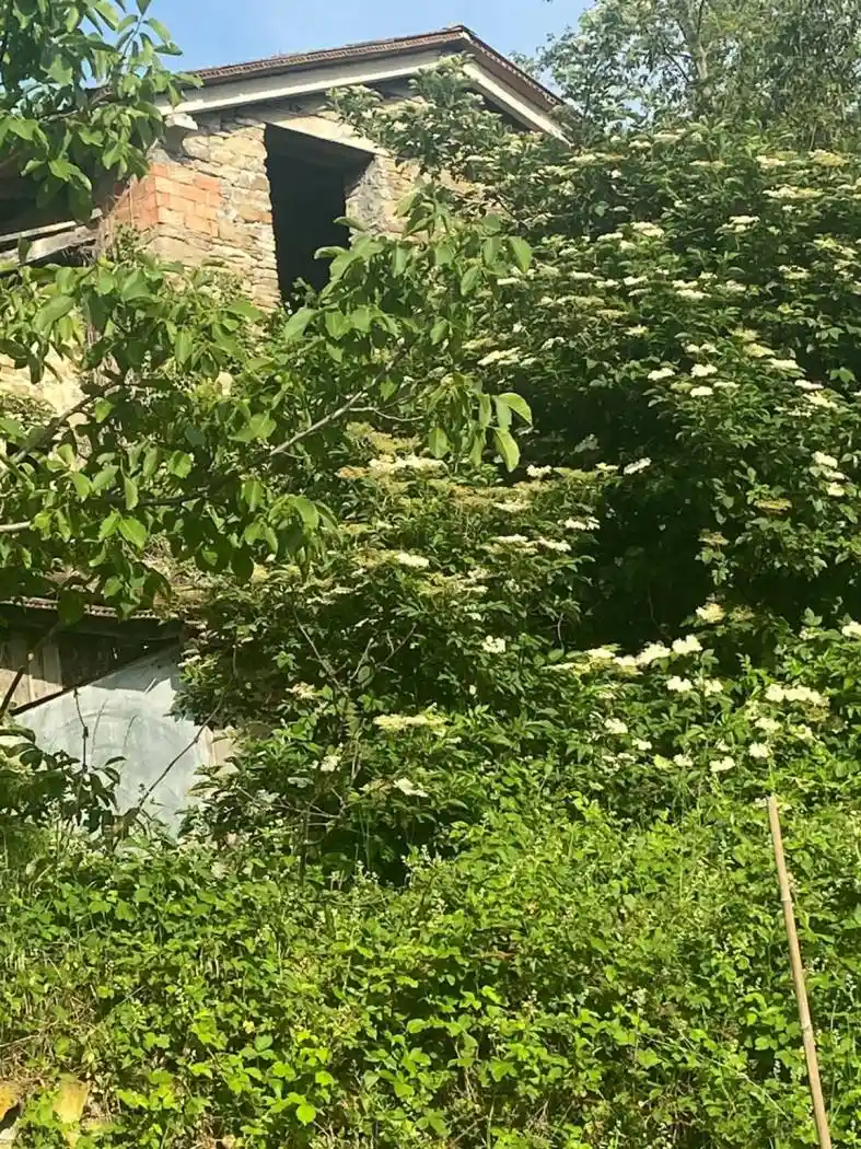 Rustico - Casale in vendita a Carpineti