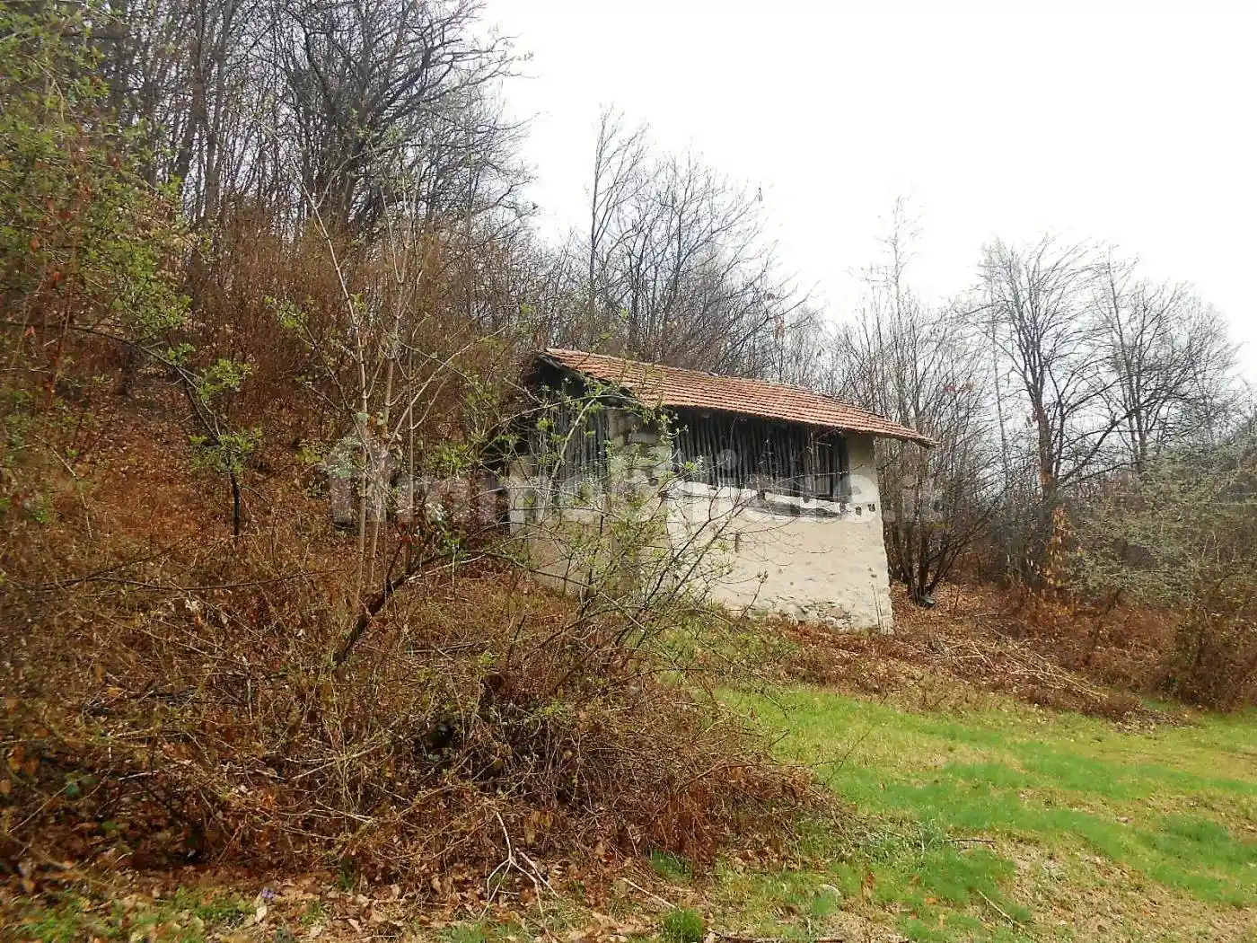 Rustico - Casale in vendita a Madonna del Sasso