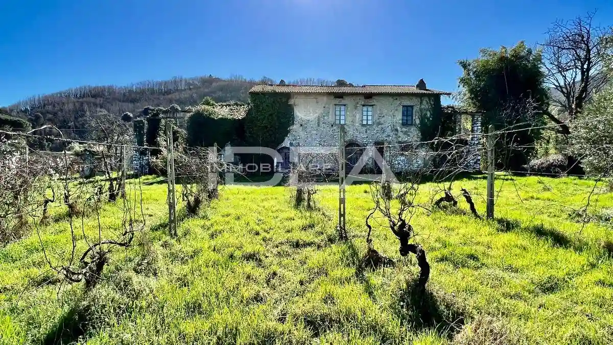 Rustico - Casale - foto 2