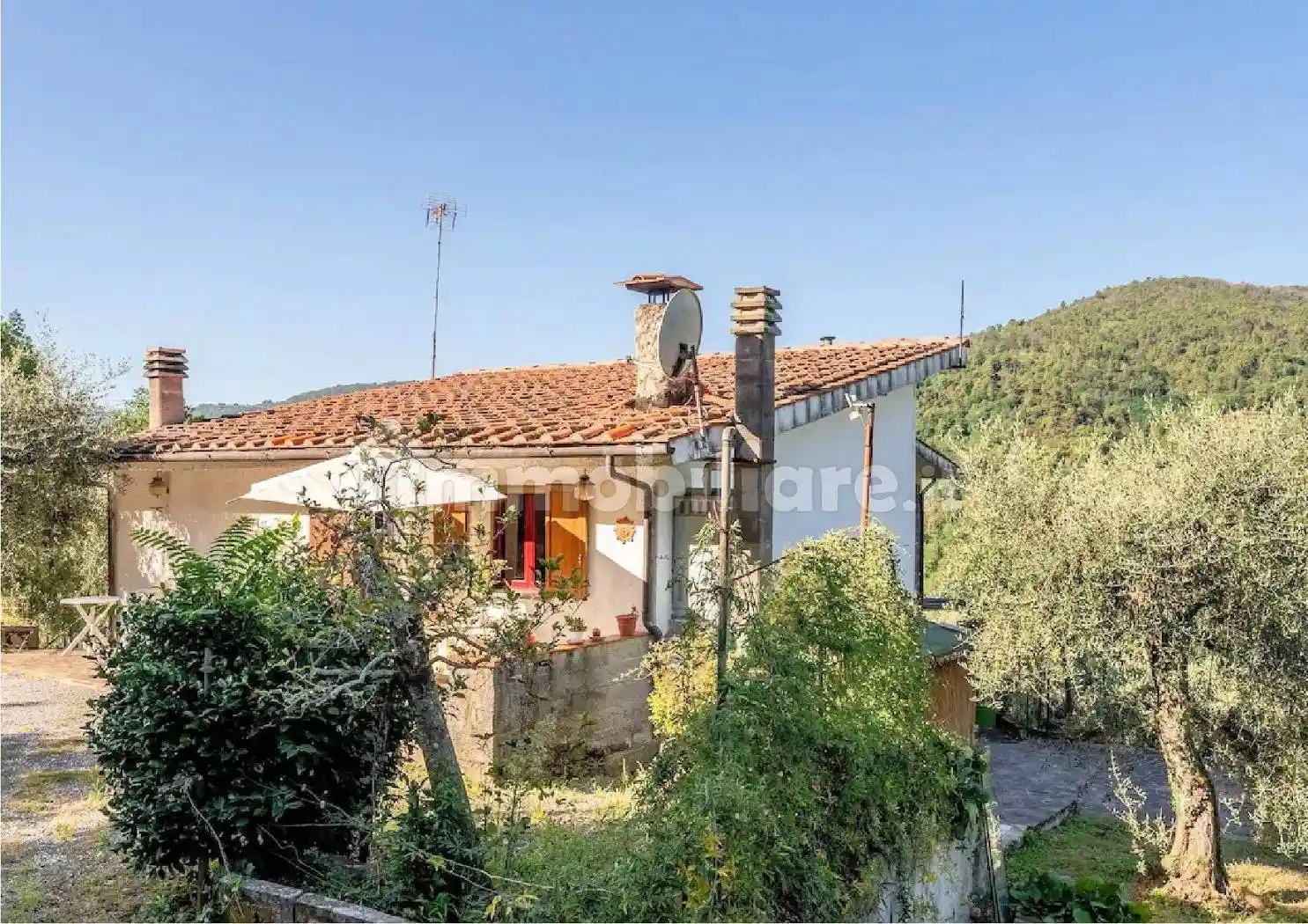 Rustico - Casale in vendita a Pescia