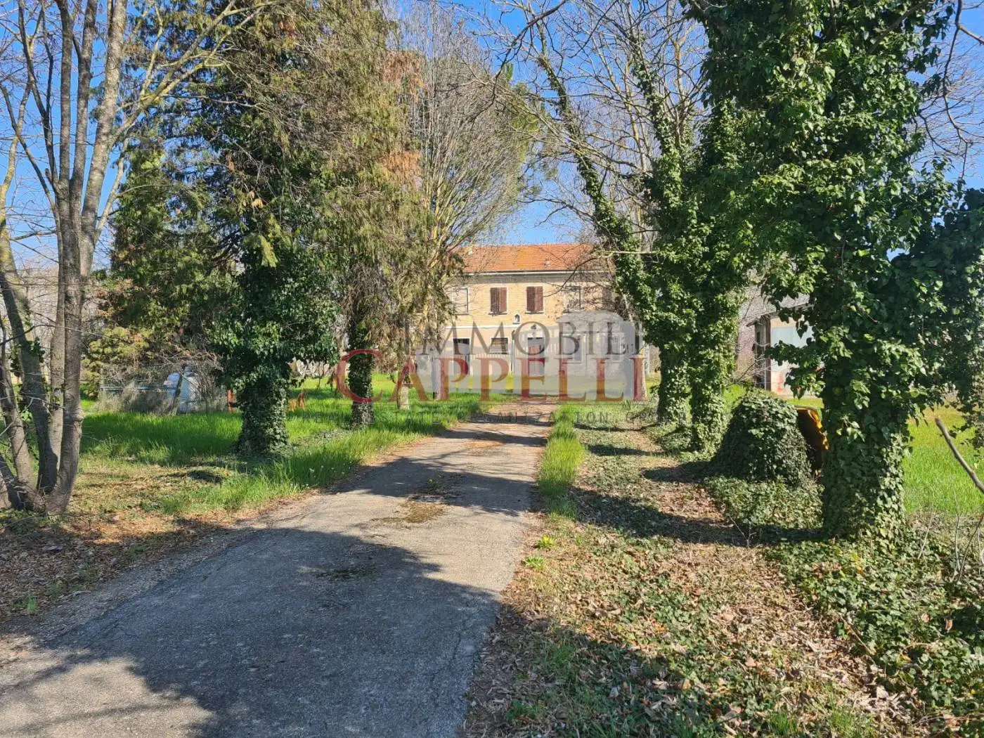 Rustico - Casale in vendita a Bertinoro