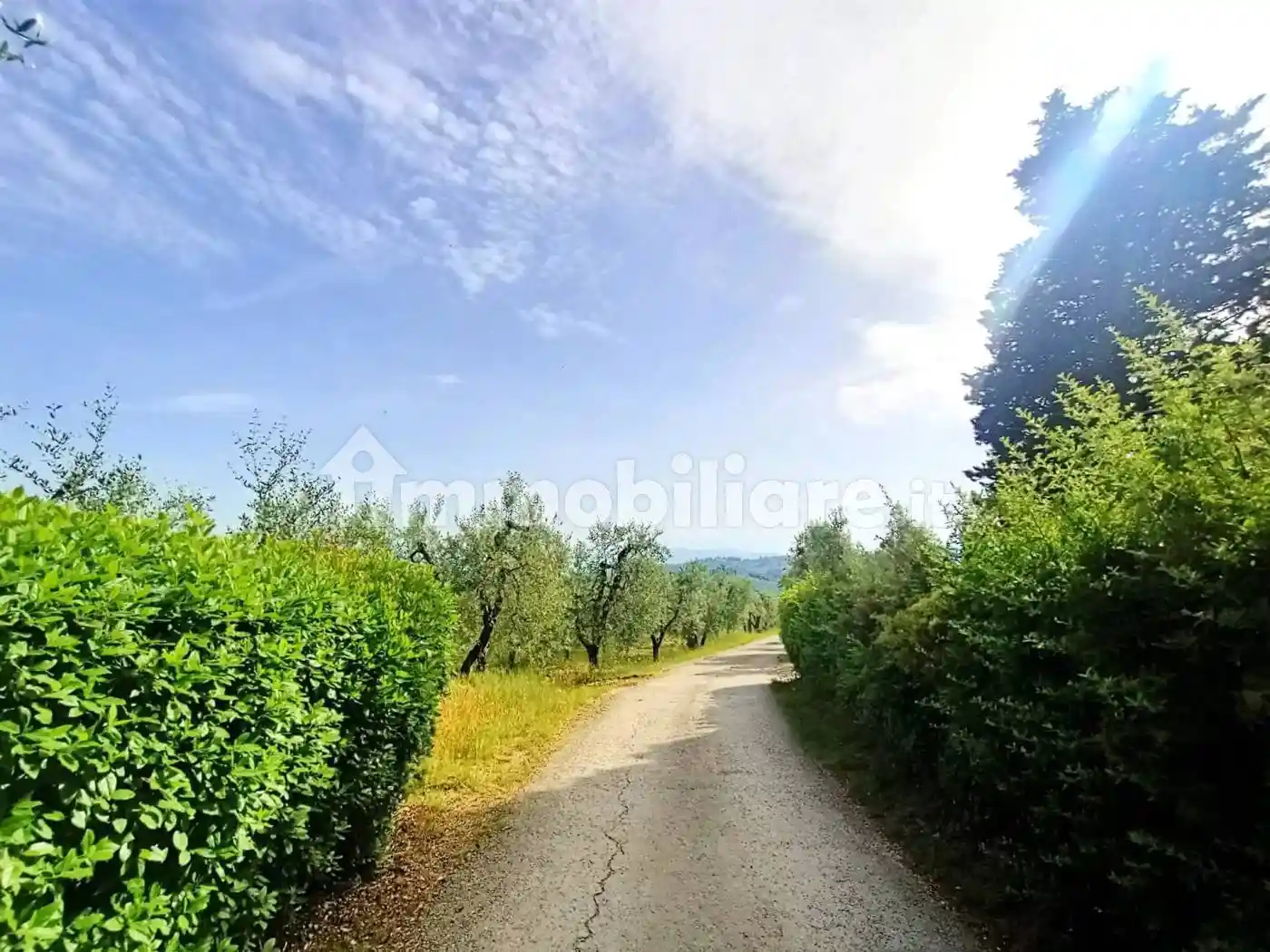 Quadrilocale via di casignano, Mosciano, Casignano, Giogoli, Scandicci - foto 5