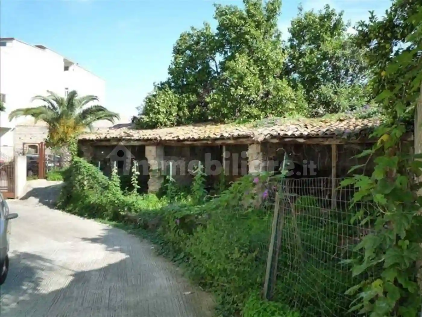 Palazzo - Edificio - foto 3