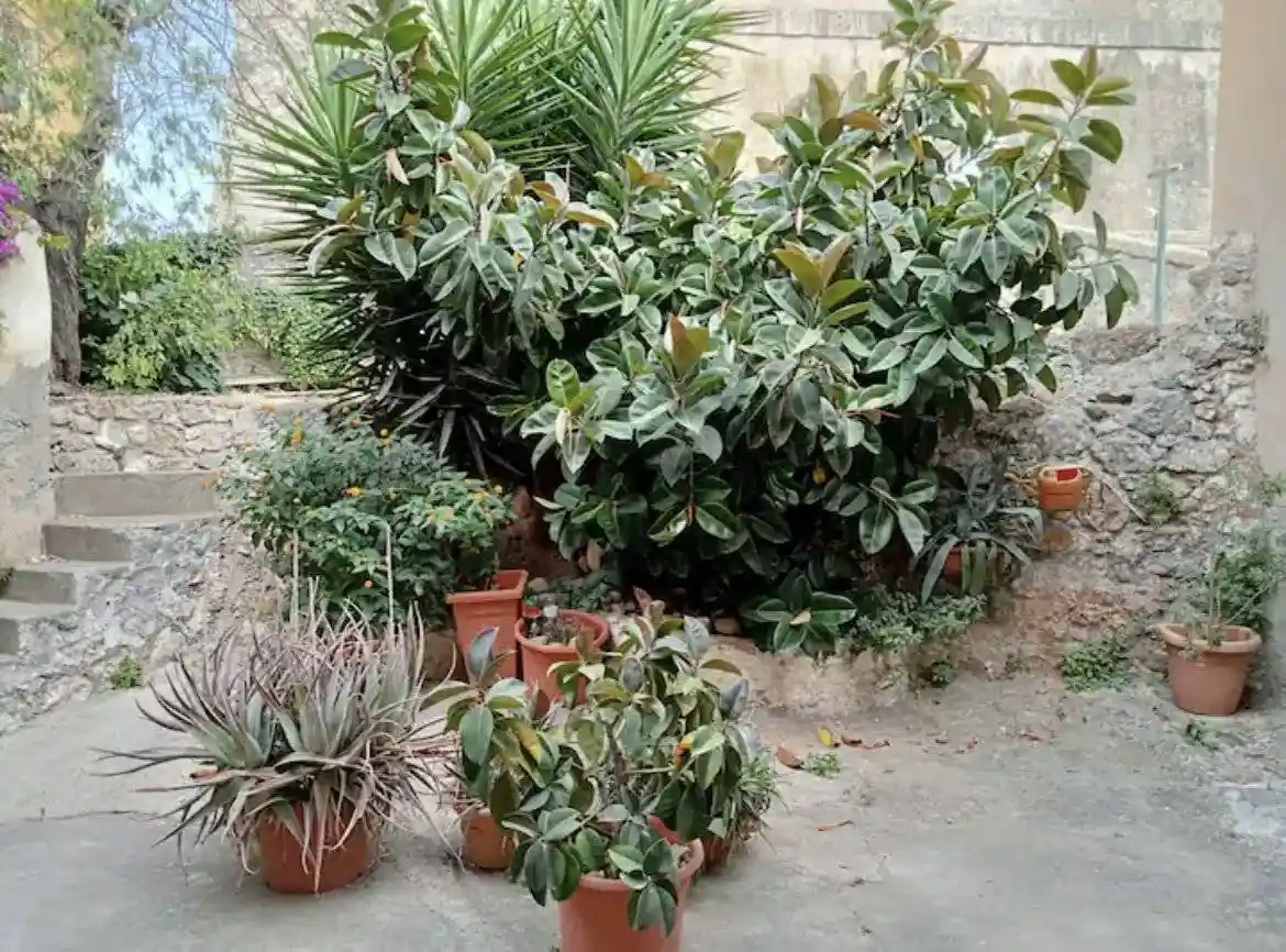 Appartamento in vendita a Monte Argentario