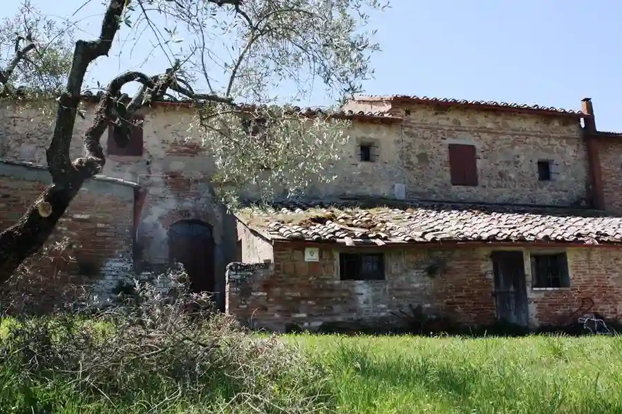 Rustico - Casale - foto 4