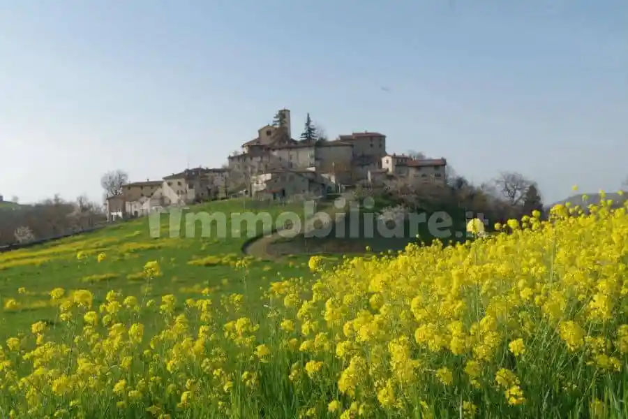 Appartamento in affitto a Zocca
