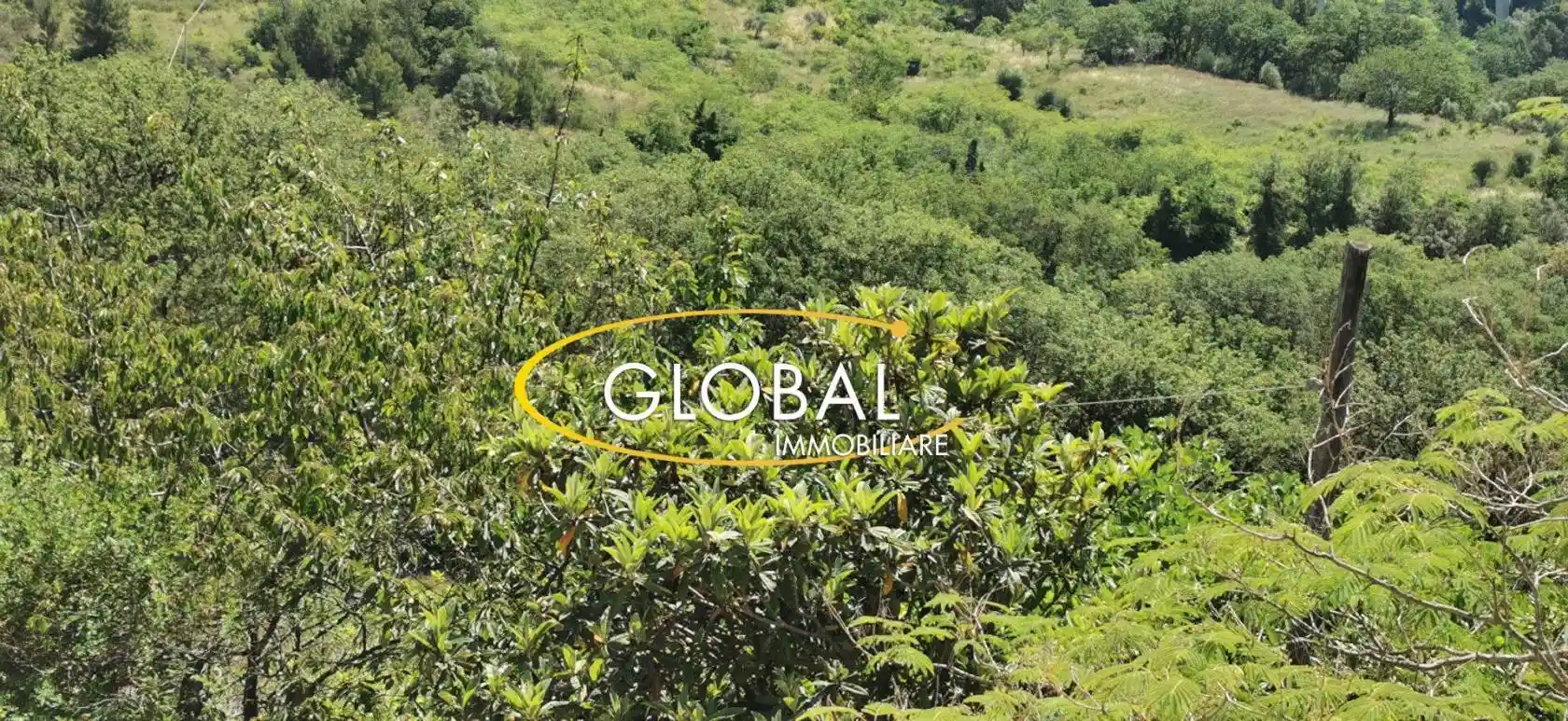 Rustico frazione Poggio, Poggio - Massignano, Ancona - foto 3