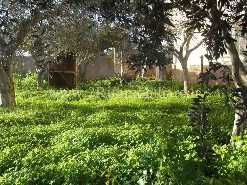 Palazzo - Edificio - foto 3