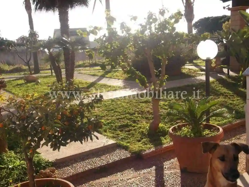 Palazzo - Edificio - foto 4