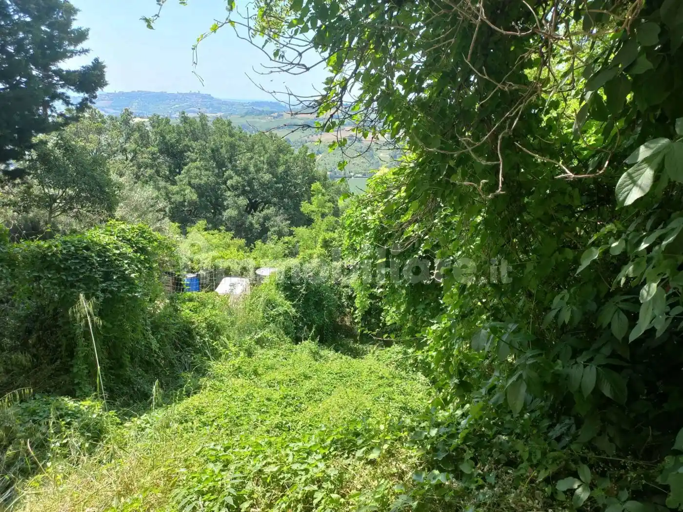 Rustico - Casale in vendita a Offagna