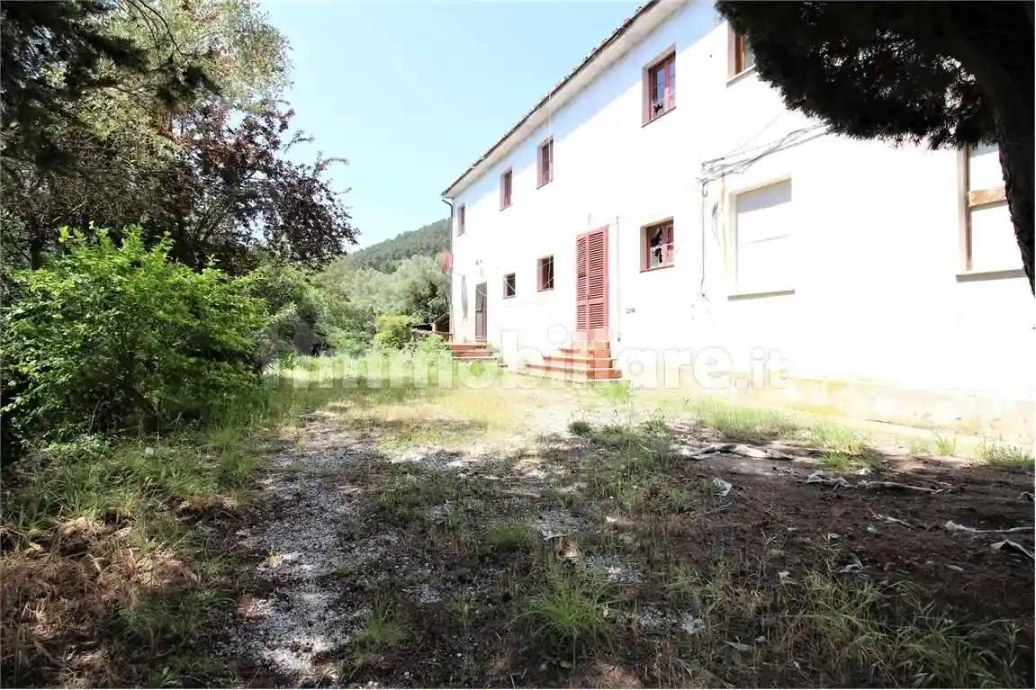 Rustico - Casale in vendita a Vicopisano