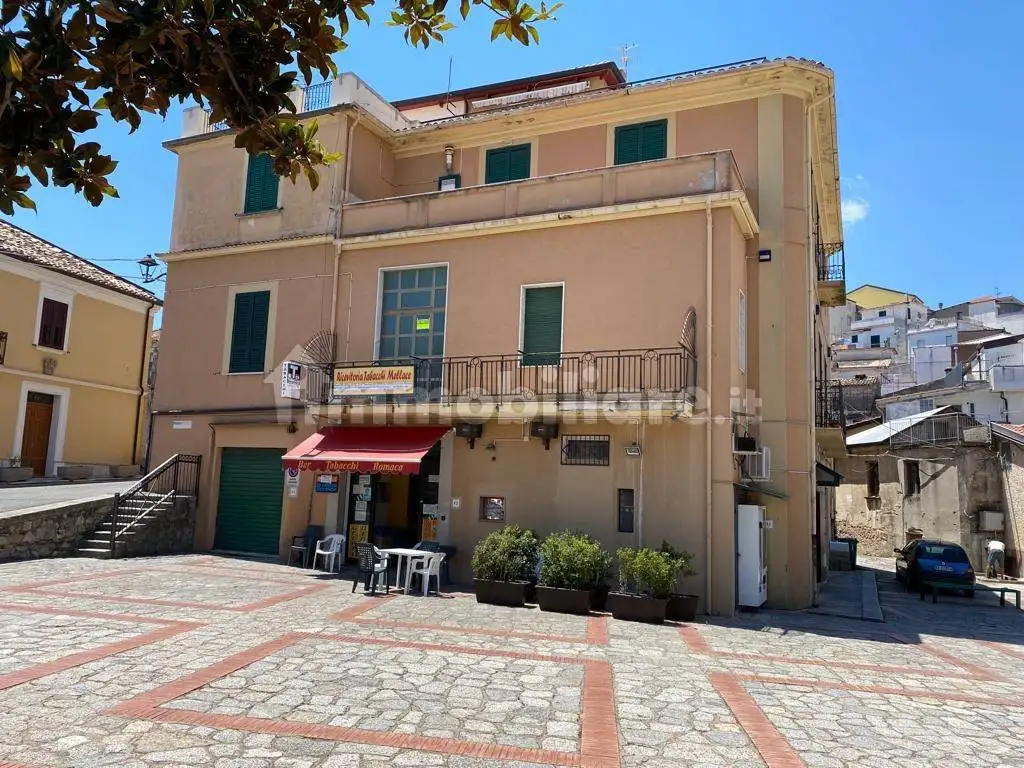 Palazzo - Edificio in vendita a Satriano