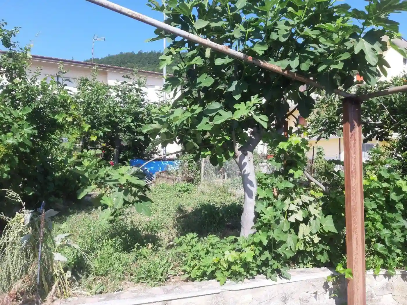 Terratetto plurifamiliare Contrada Casette, Castelli - foto 4