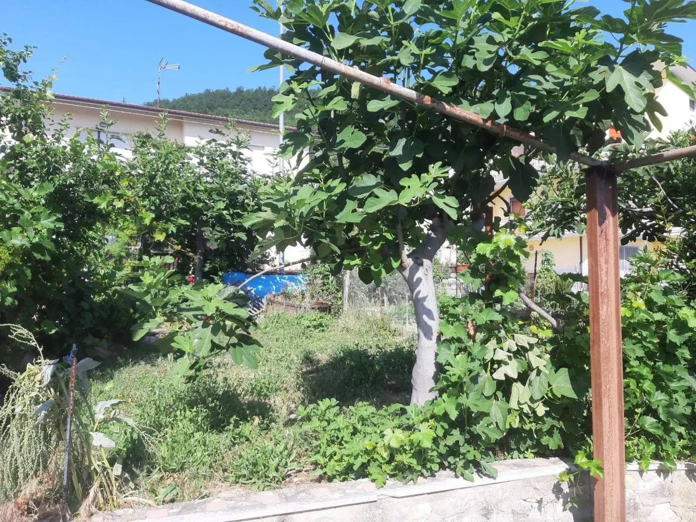 Terratetto plurifamiliare Contrada Casette, Castelli - foto 2