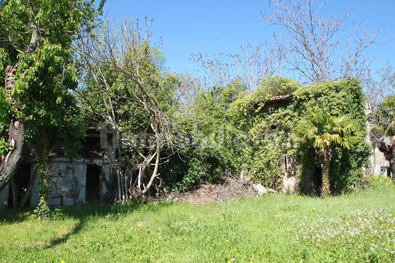 Rustico - Casale in vendita a Gradisca d'Isonzo