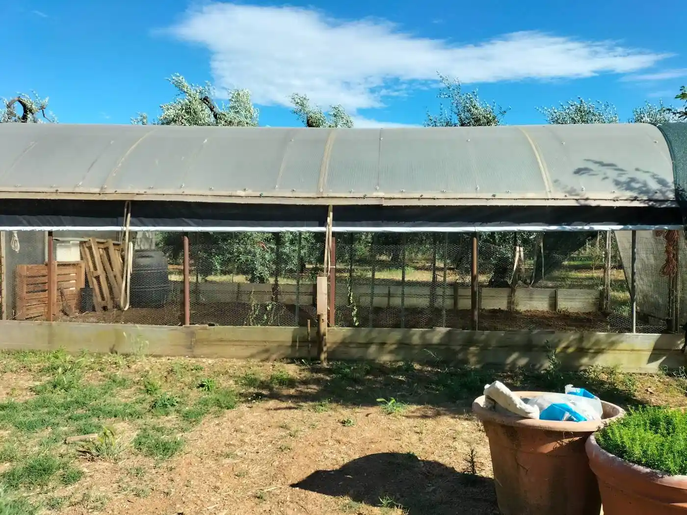 Rustico - Casale in vendita a Giove