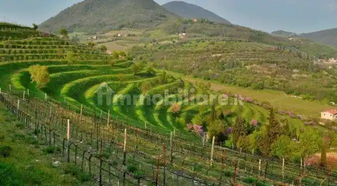 Villa in vendita a Barbarano Mossano