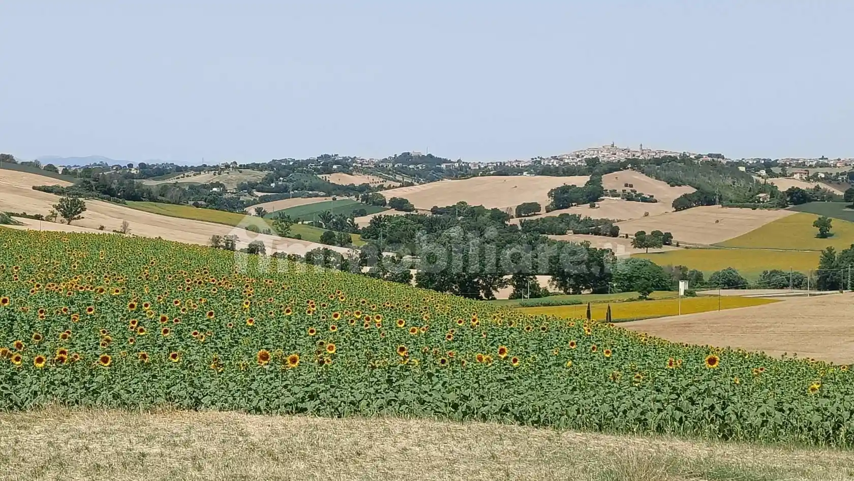 Rustico - Casale in vendita a Monte San Giusto
