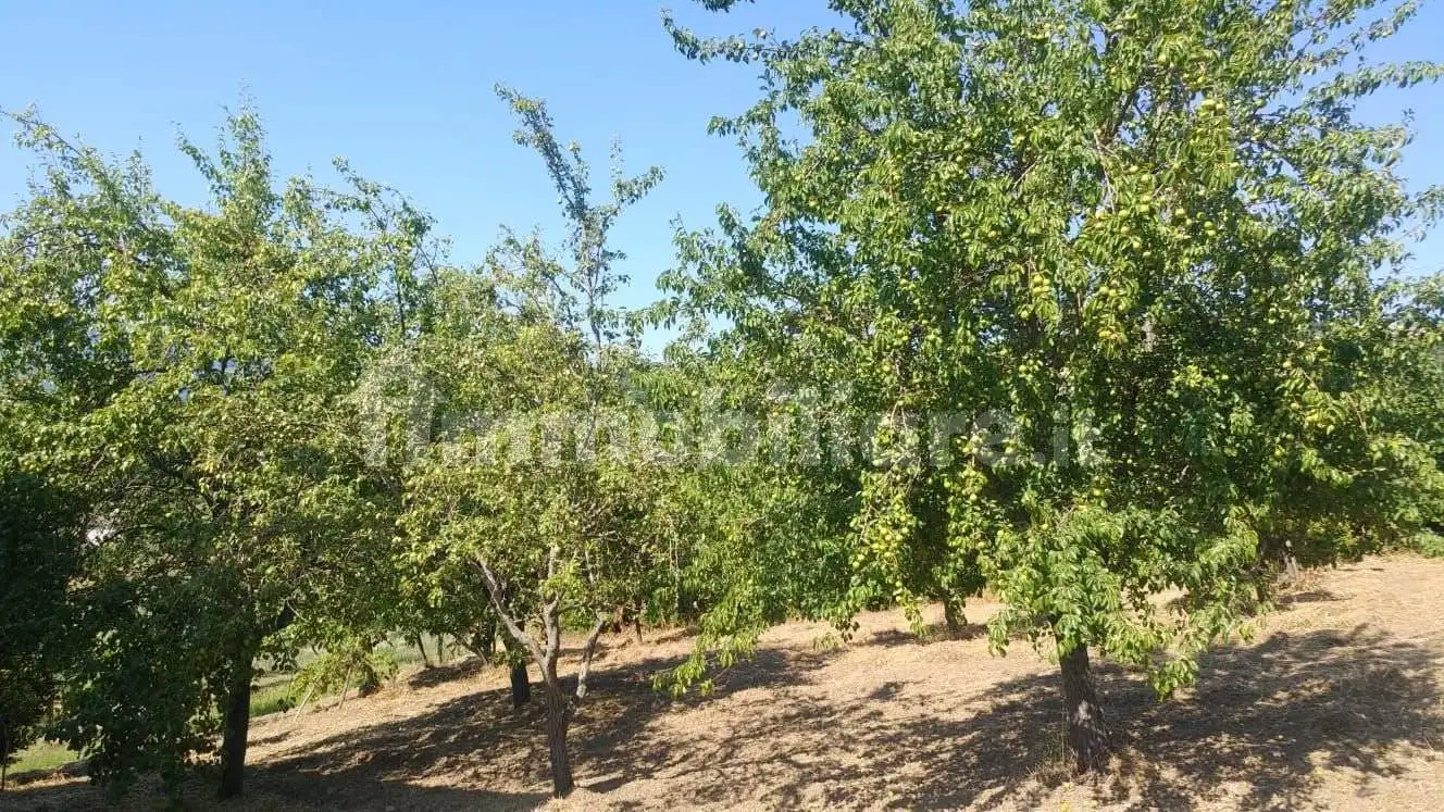 Villa unifamiliare via Guadagni, Apollosa - foto 5