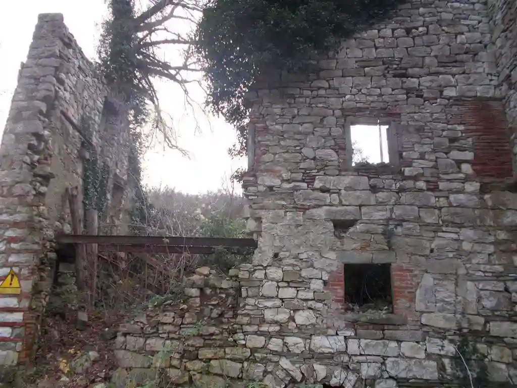 Rustico - Casale - foto 4