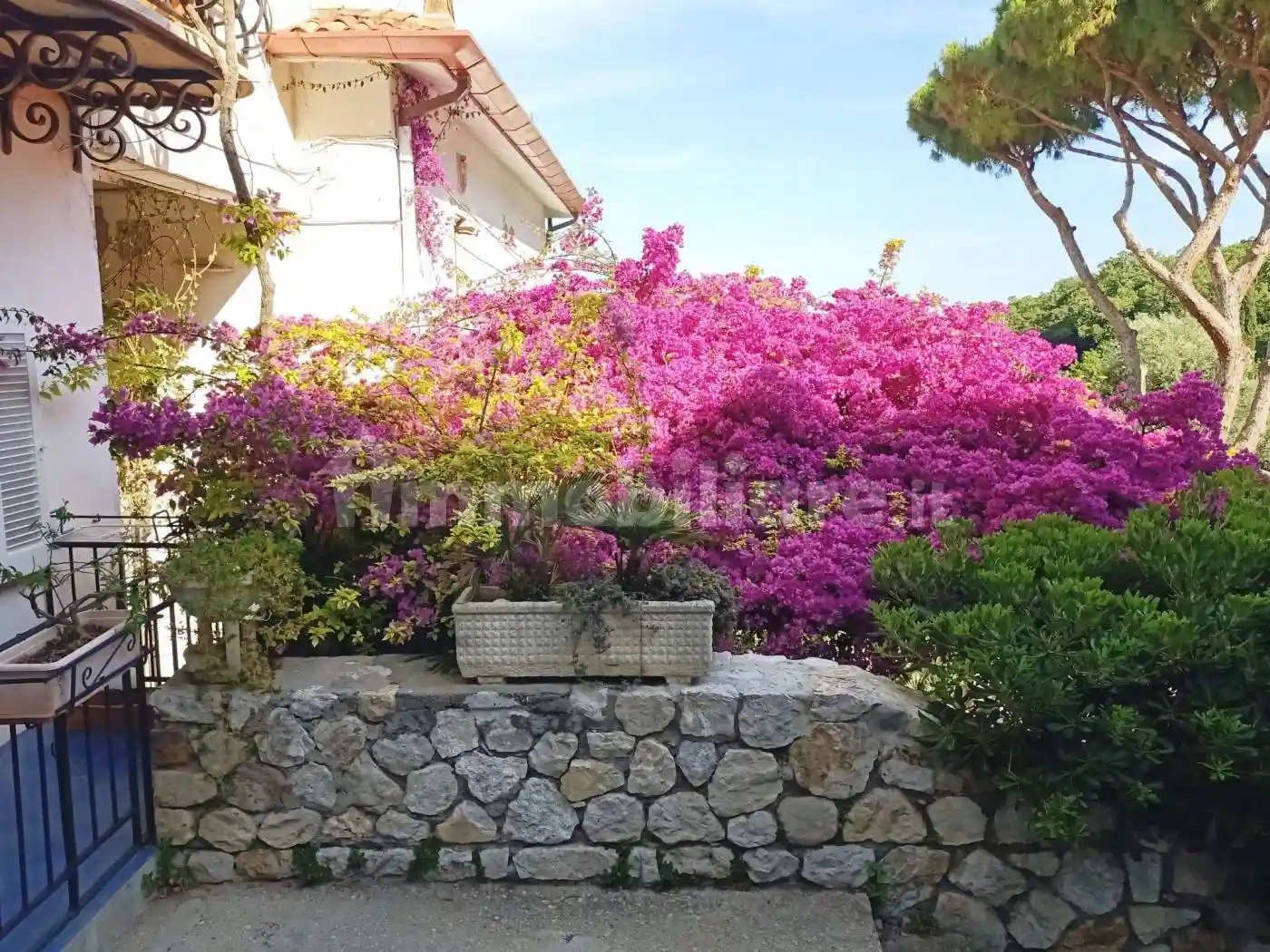 Appartamento in affitto a San Felice Circeo