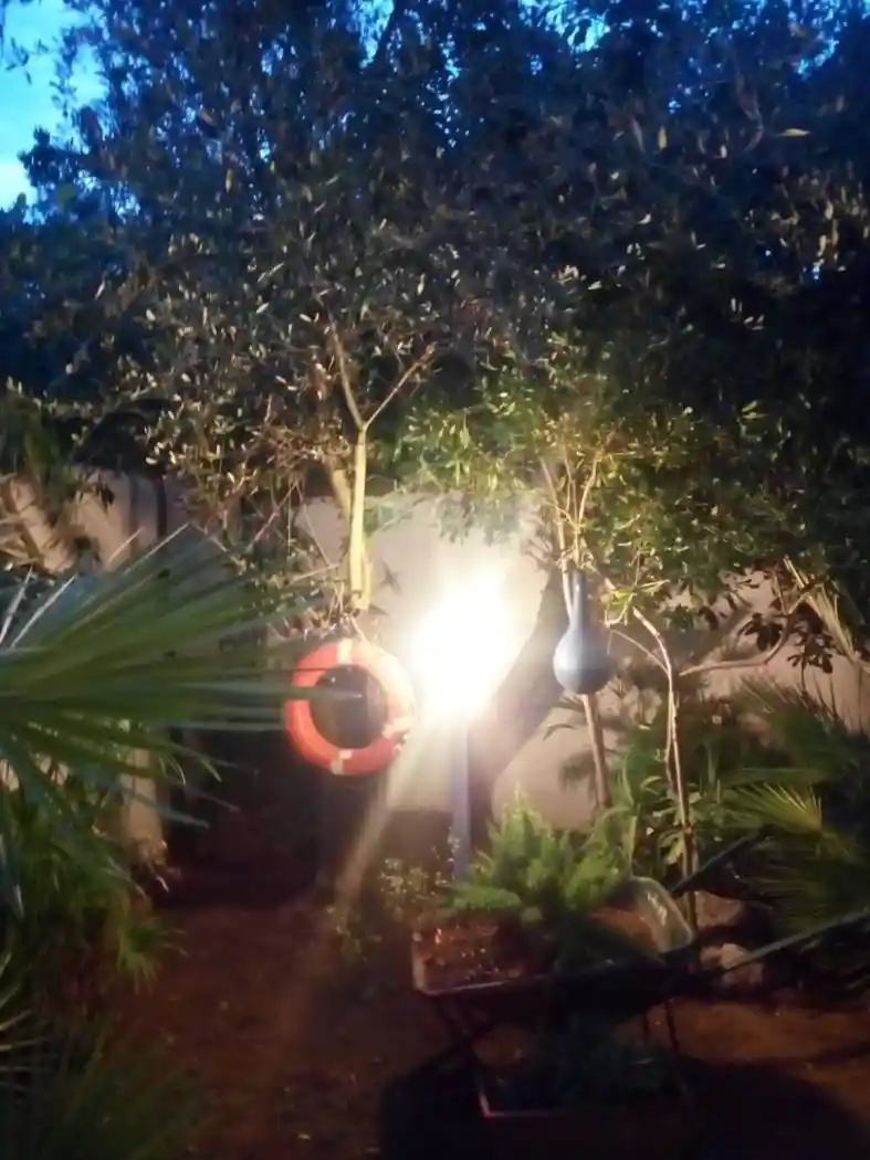 Appartamento in affitto a San Felice Circeo