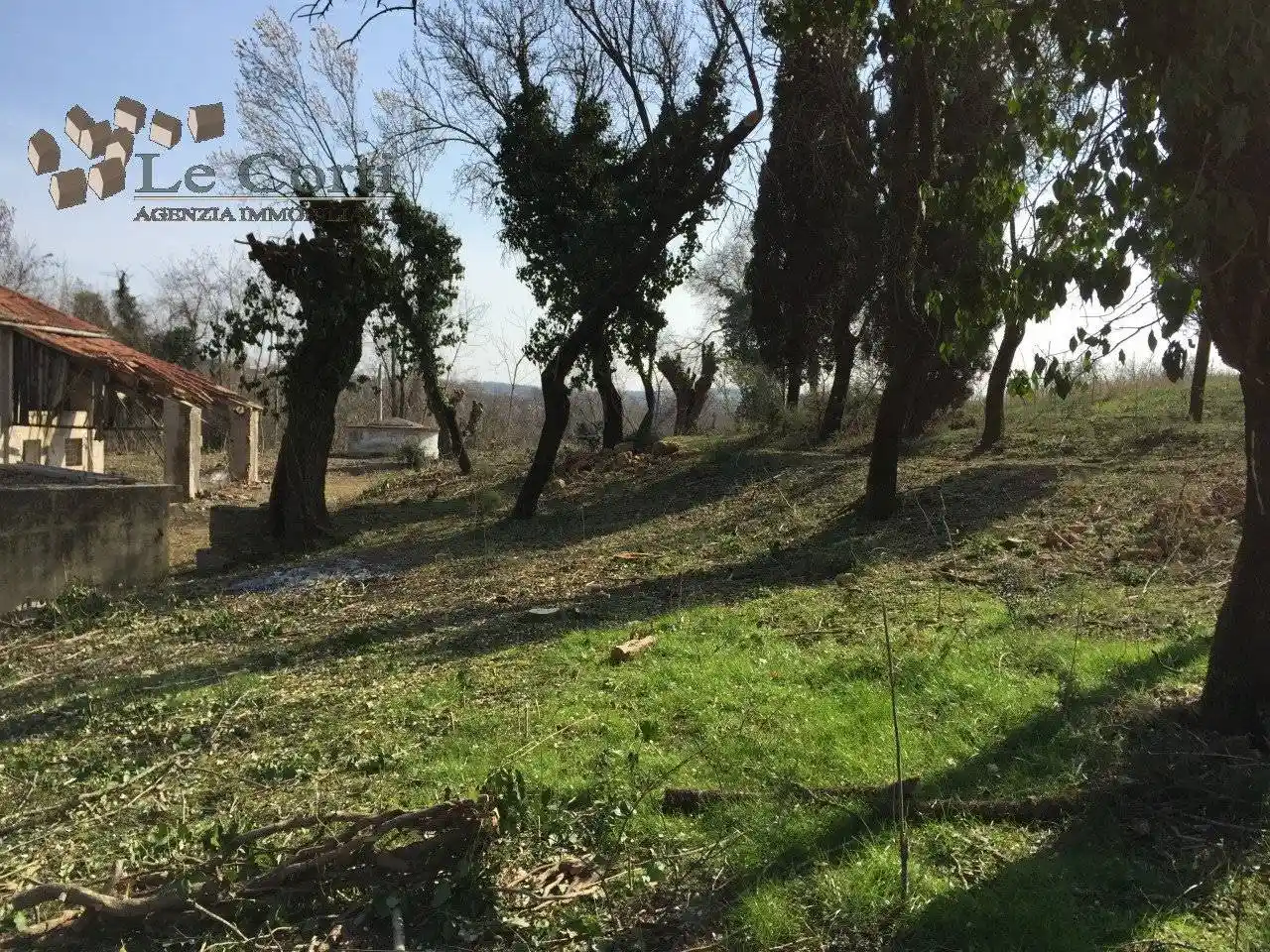 Rustico - Casale in vendita a Lonigo