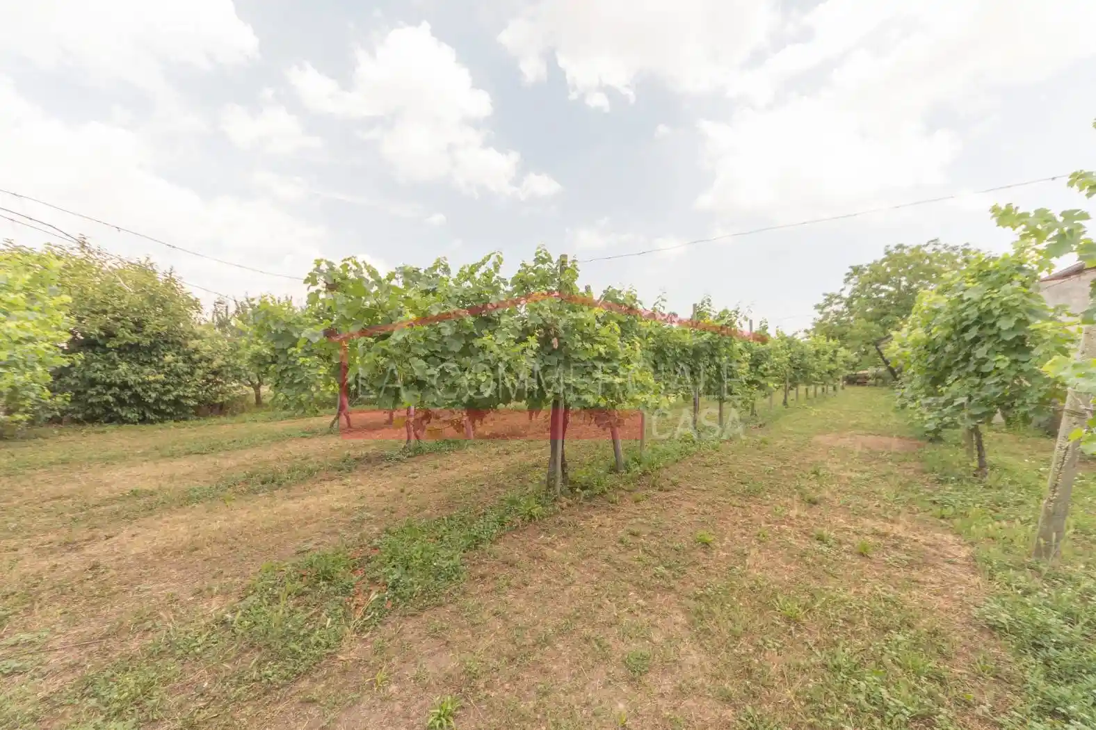 Rustico - Casale - foto 3