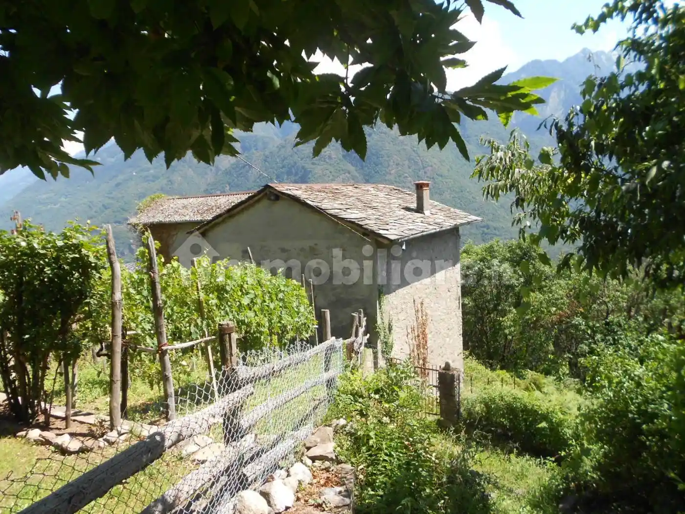 Villa in vendita a Ardenno