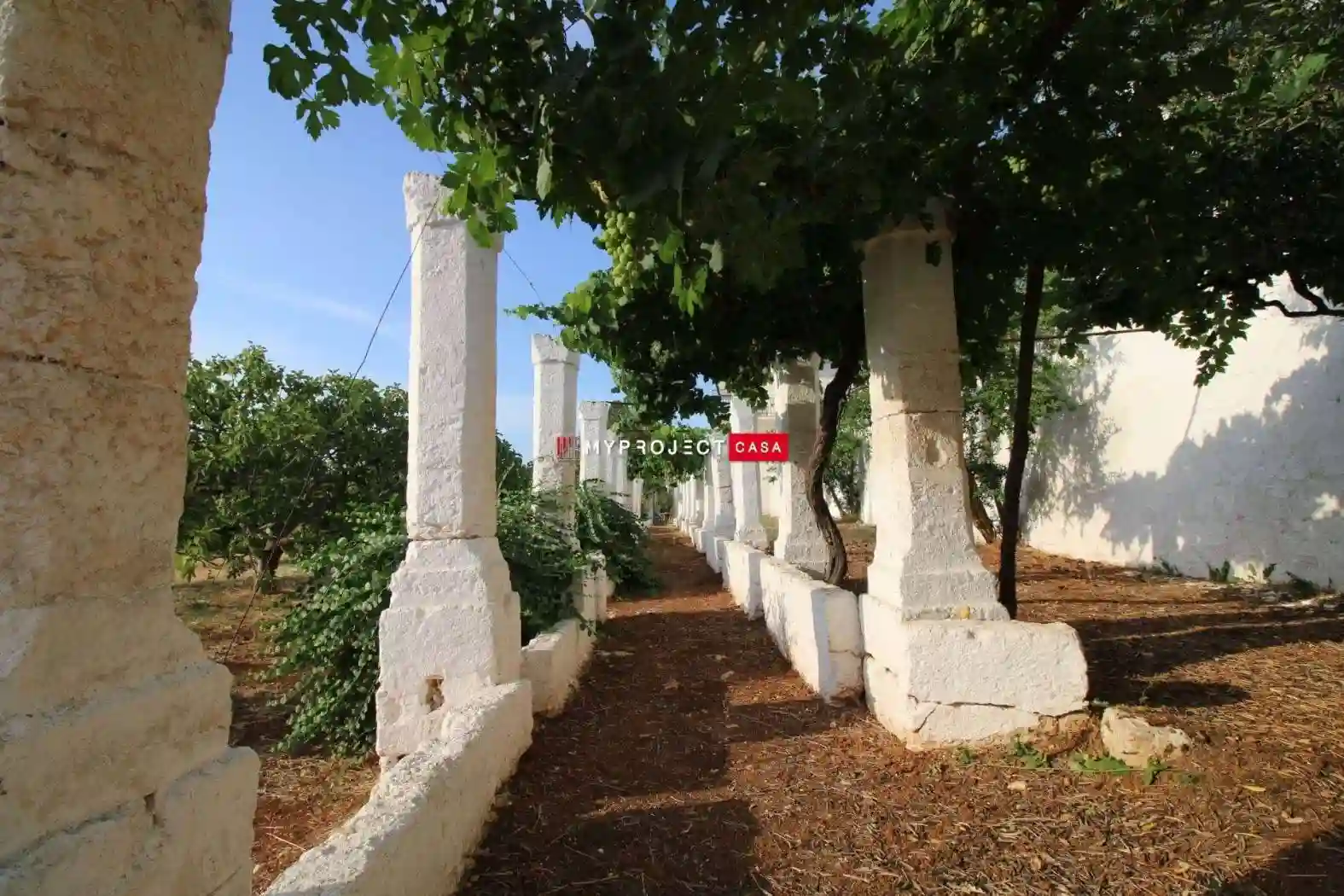 Rustico - Casale - foto 5