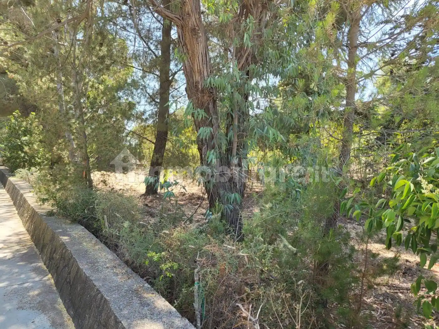 Villa in vendita a Andria