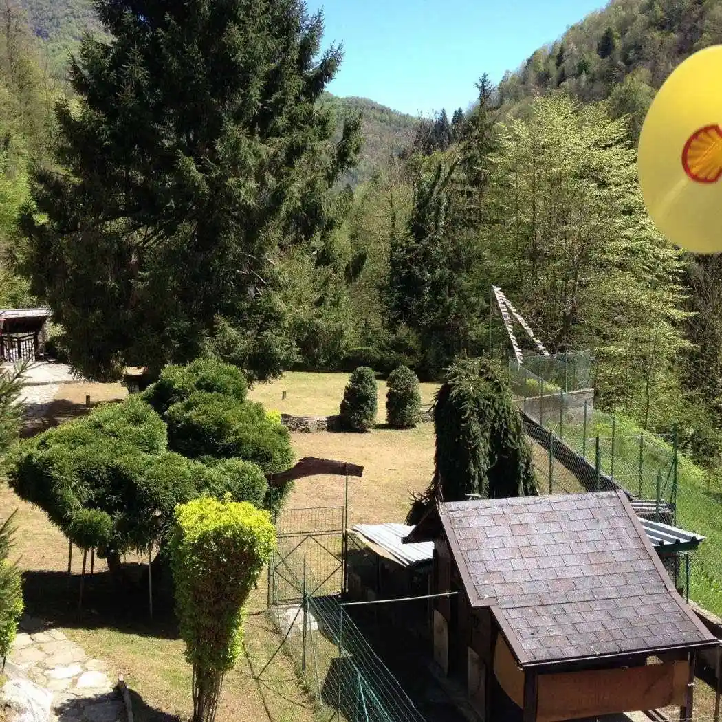 Villa unifamiliare Strada Provinciale 10, Boccioleto - foto 5