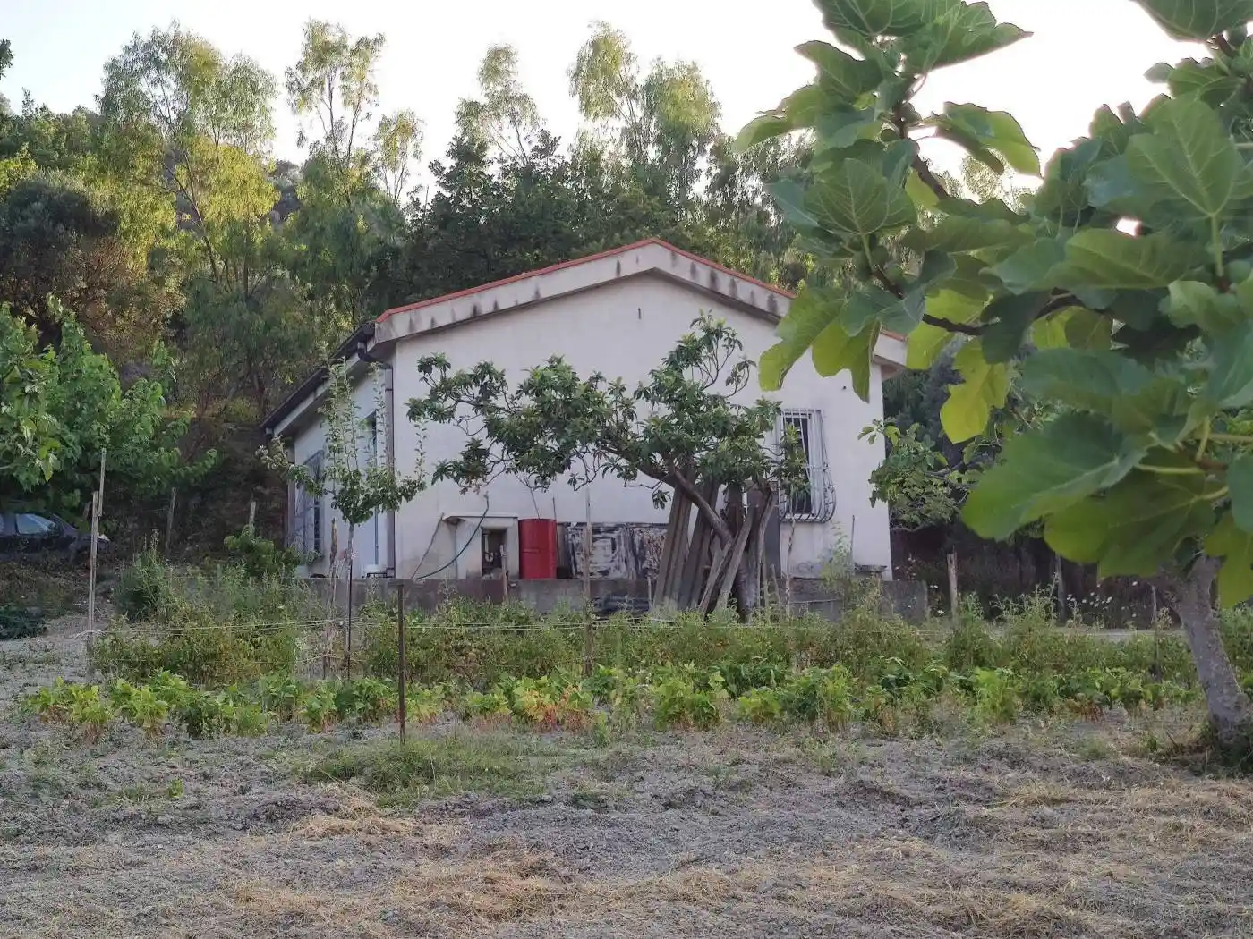 Terratetto unifamiliare Contrada Paolino Snc, Bovalino - foto 2