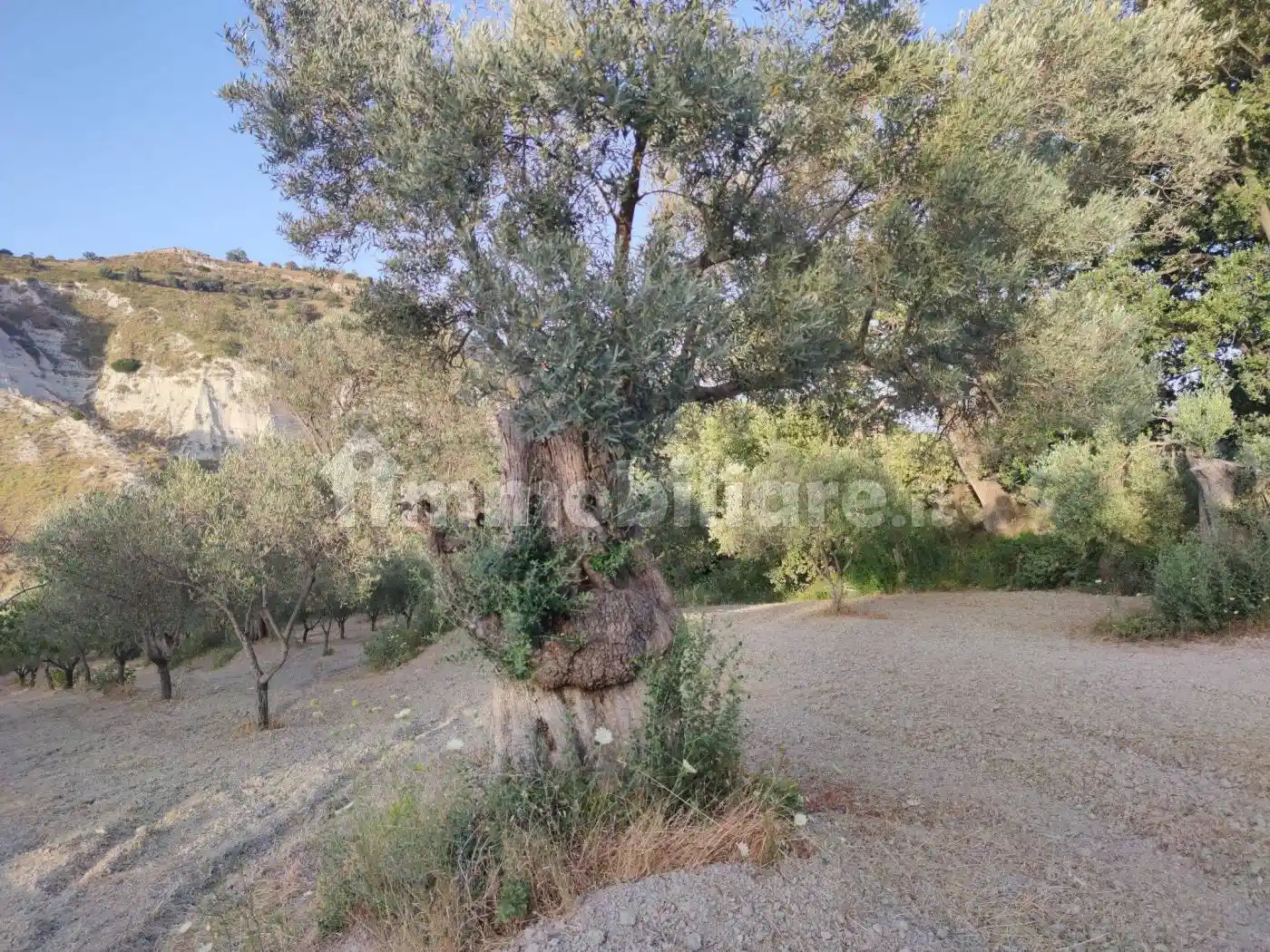 Terratetto unifamiliare Contrada Paolino Snc, Bovalino - foto 3