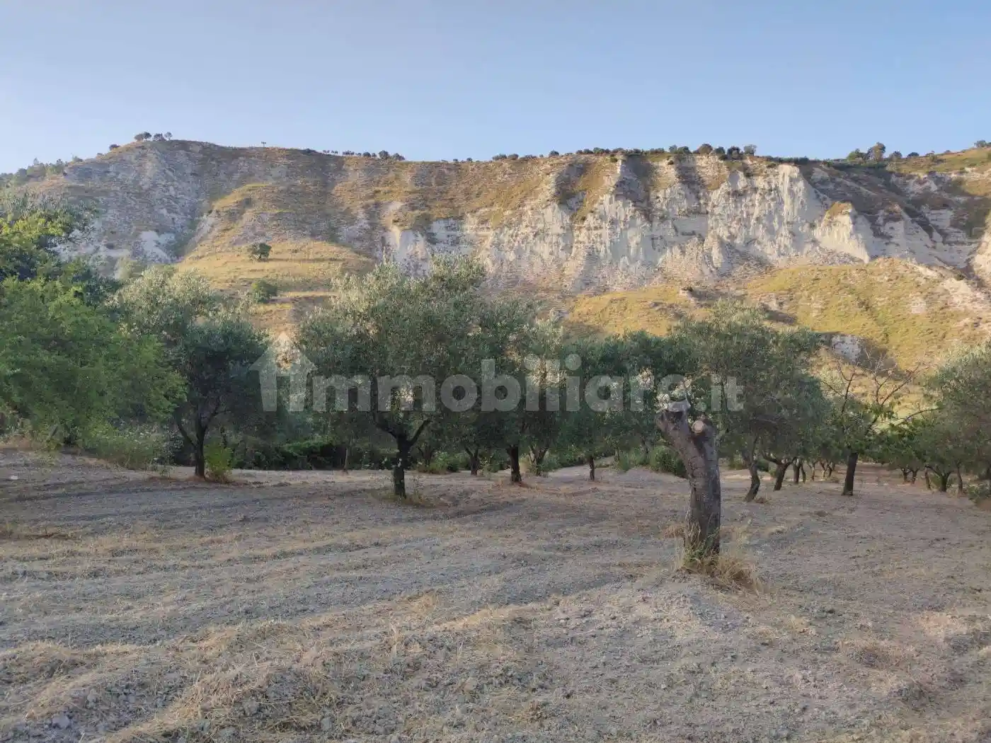 Terratetto unifamiliare Contrada Paolino Snc, Bovalino - foto 4