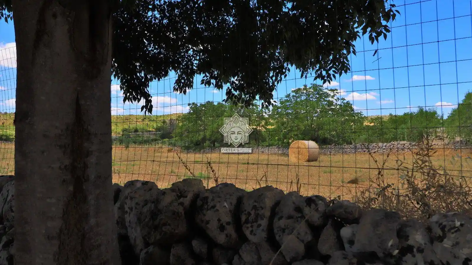 Villa in vendita a Noto
