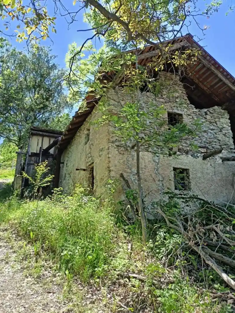 Palazzo - Edificio - foto 5