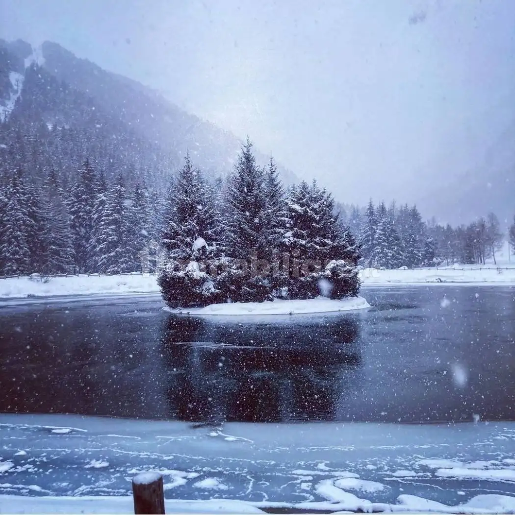 Rustico - Casale in affitto a Ponte di Legno