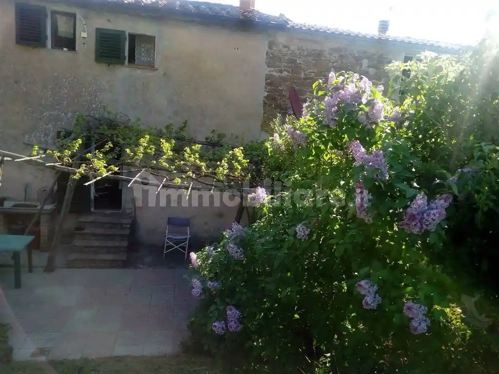 Rustico - Casale in vendita a Scansano